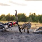 Mount Etna: All around on E-bike - What Past Travelers Say