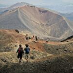 Mount Etna Morning Tour from Catania - Why Travelers Love This Tour