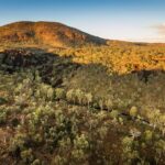 Mount Hart Wilderness Explorer - A Deep Dive into the Mount Hart Wilderness Explorer
