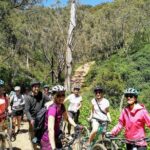 Mount Lofty Descent Bike Tour from Adelaide - Why This Tour Offers Great Value