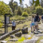 Mount Olympus & Ancient City of Dion "Myth & History" - The Experience: What Travelers Say
