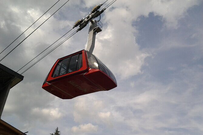 Mount Pilatus Small Group off-season Day Trip from Luzern - The Sum Up