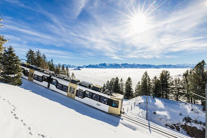 Mount Rigi Day Ticket - Who Should Consider This Experience?