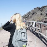 Mount Vesuvius: Skip-the-Line Ticket and Audio Guide - Who Will Love This Tour?