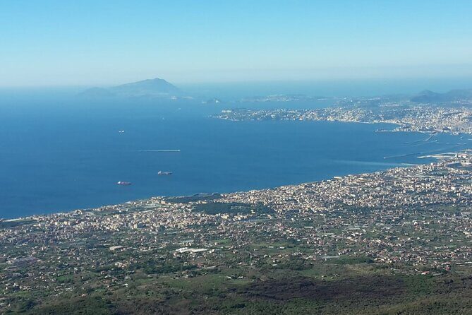 Mount Vesuvius tour by bus and ticket included from Ercolano - Final Thoughts: Who Is This Tour Best For?