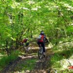 Mountain Bike Day Tour around Brasov - Practical Details and Value
