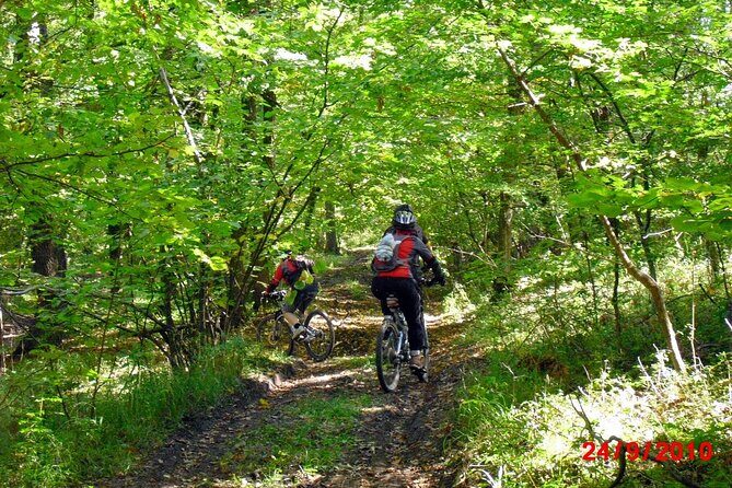 Mountain Bike Day Tour around Brasov - Practical Details and Value