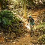 Mountain Bike Tour - Cairns - A Deep Dive into the Cairns Mountain Bike Tour