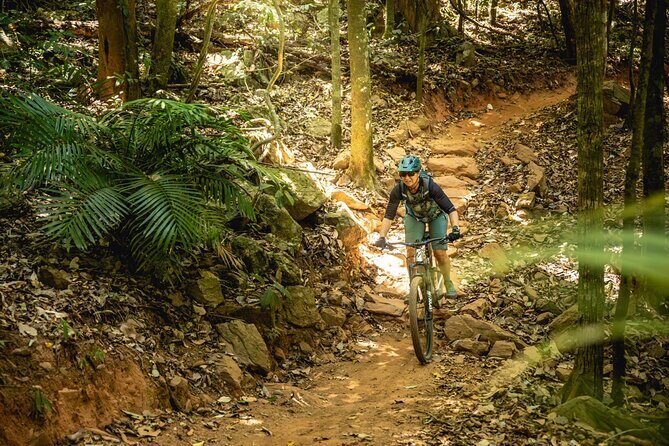 Mountain Bike Tour - Cairns - A Deep Dive into the Cairns Mountain Bike Tour