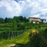 Mountain Bike tour in Spina Verde natural park - FAQs