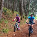Mountain Biking on Vrmac peninsula - Panoramic view on Kotor bay - Who Should Consider This Tour?