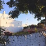 Mozzarella Experience - Cheese Tour and tastings to Masseria Fragnite - The Itinerary: A Closer Look
