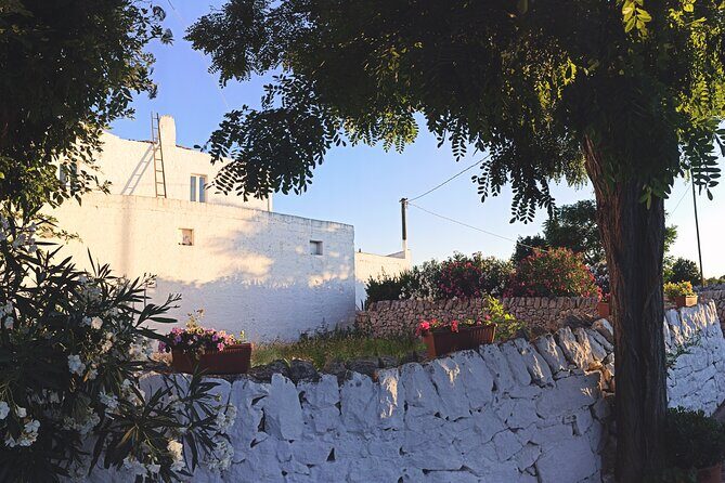 Mozzarella Experience - Cheese Tour and tastings to Masseria Fragnite - The Itinerary: A Closer Look