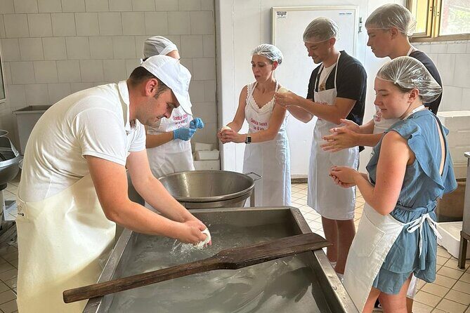 Mozzarella Experience with Tasting in Vico Equense - An In-Depth Look at the Mozzarella Experience