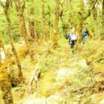 Mt Aspiring Full Day Canyon ex Queenstown or Wanaka - A Deep Dive into the Canyoning Experience