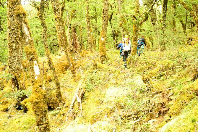Mt Aspiring Full Day Canyon ex Queenstown or Wanaka - A Deep Dive into the Canyoning Experience