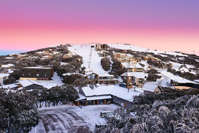 Mt Buller Day Tour  Best Value Hire & Genuine 5 Hours Fun - What Travelers Say