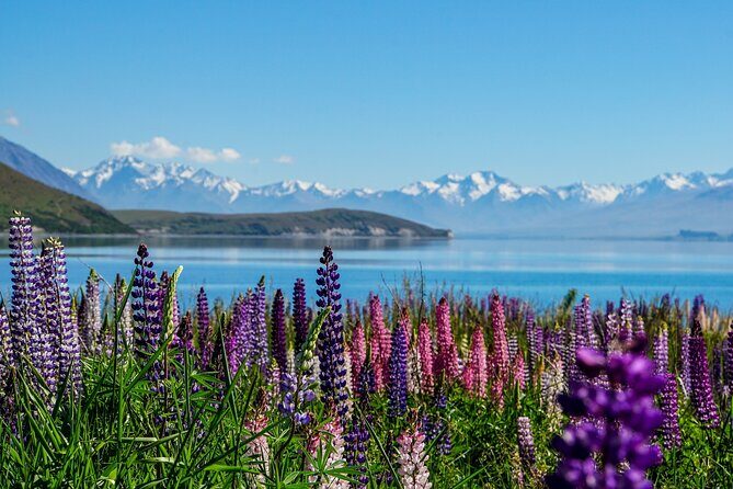 Mt Cook & Lake Tekapo Small Group Tour from Christchurch - Itinerary Breakdown: What to Expect at Each Stop