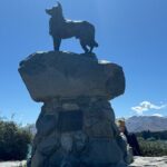 Mt. Cook Private Day Trip From Christchurch Via Lake Tekapo - The Sum Up: Who Should Consider This Tour?