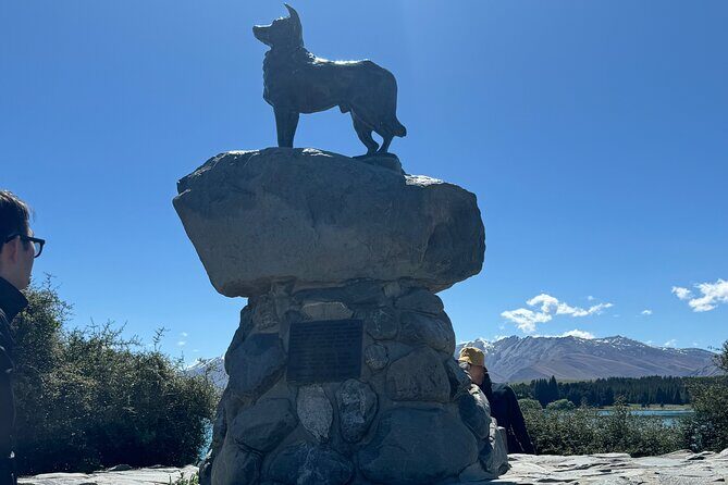 Mt. Cook Private Day Trip From Christchurch Via Lake Tekapo - The Sum Up: Who Should Consider This Tour?