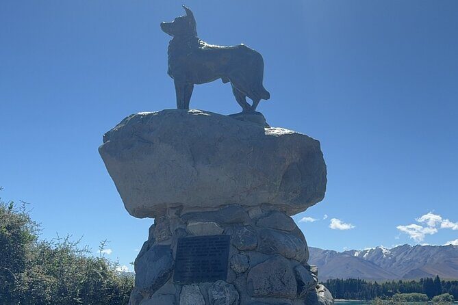 Mt. Cook Private Day Trip From Queenstown with Lake Tekapo - An In-Depth Look at the Mt. Cook Private Day Trip