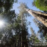 Mt Field and Styx Valley Photography Tour - The Sum Up: Who Should Book This Tour?