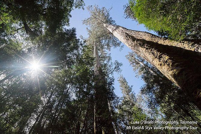 Mt Field and Styx Valley Photography Tour - The Sum Up: Who Should Book This Tour?