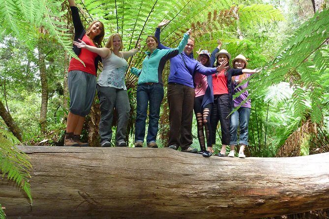 Mt Field, Mt Wellington & Tassie Devils Active Tour from Hobart - Who Will Love This Tour?