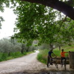 Mt. Parnassos: Mountain Bike in Altitude Forest - What Makes This Tour Stand Out?
