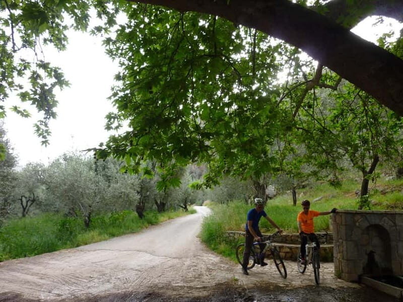 Mt. Parnassos: Mountain Bike in Altitude Forest - What Makes This Tour Stand Out?