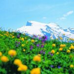 Mt Titlis Glacier Paradise Tour from Zurich With Lucerne - What Sets This Tour Apart?