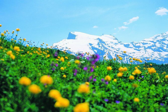 Mt Titlis Glacier Paradise Tour from Zurich With Lucerne - What Sets This Tour Apart?