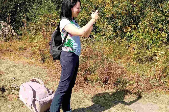 Mt. Vitosha and Boyana Waterfall Hiking Tour from Sofia - A Closer Look at the Experience