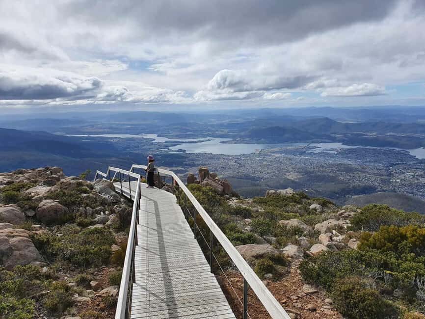 Mt Wellington Afternoon Small Group Driving Tour - A Deep Dive into the Tour Experience