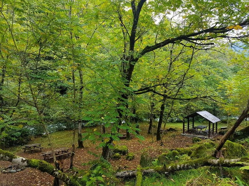 Mtirala National Park 2-Day Guided Hiking Tour from Kutaisi - A Deep Dive into the Experience