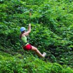 Mtirala National Park Tour - An In-Depth Look at Mtirala National Park Tour