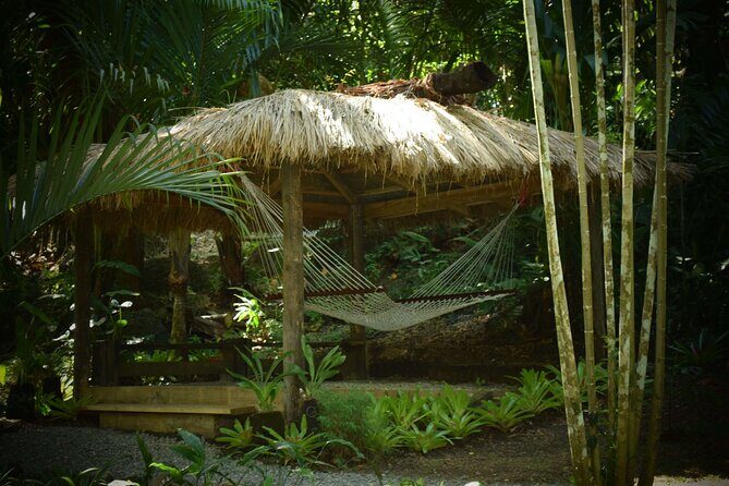 Mud Pools, Gardens, Markets, Temple & Shopping-Nadi Tour half day - Why This Tour Offers Good Value