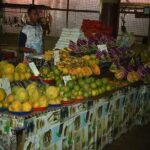 Mud Pools, Hindu Temple, Sleeping Giants Gardens, shopping, markets & Lunch - How It All Adds Up