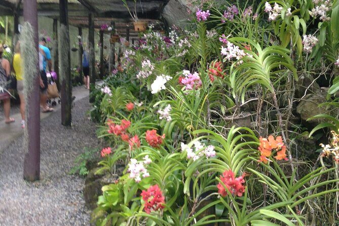 Mud Pools,Temple Sleeping Giants Gardens shopping markets &Lunch Ex Fiji Marriot - Final Thoughts