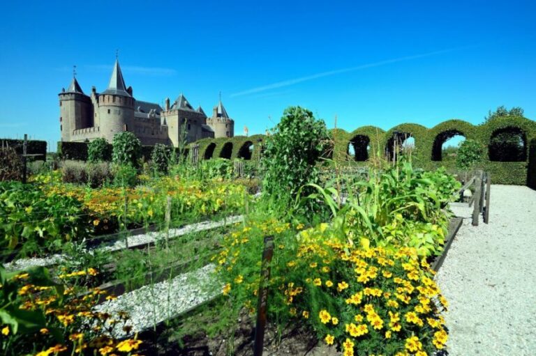 Muiden: Entry Ticket to Muiderslot Castle - A Deep Dive into the Muiderslot Experience