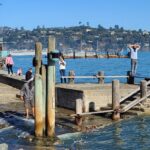 Muir Woods, Sausalito and Ferry back to Fisherman's Wharf - Who Will Love This Tour?