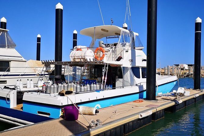 Muiron Island Diving Tour - FAQs About the Muiron Island Diving Tour