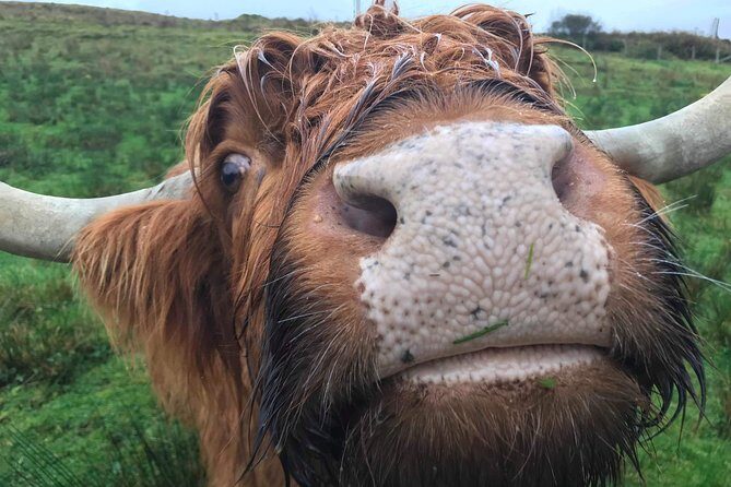 Multi Day Private Tour Of Scotland - The Sum Up