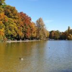 Munich 2-Hour Segway Tour - Thematic and Cultural Highlights