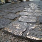 Munich: Birthplace of the Third Reich Guided Walking Tour - A Detailed Look at the Experience