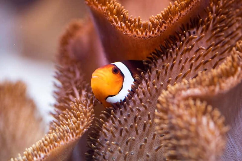 Munich: Day Ticket to Sea Life - Thematic Zones: From Local to Tropical Waters