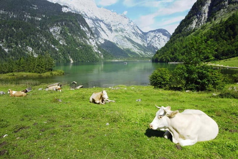 Munich: Private Lake Königssee & Salt Mine Tour with Lunch - Who Should Consider This Tour?