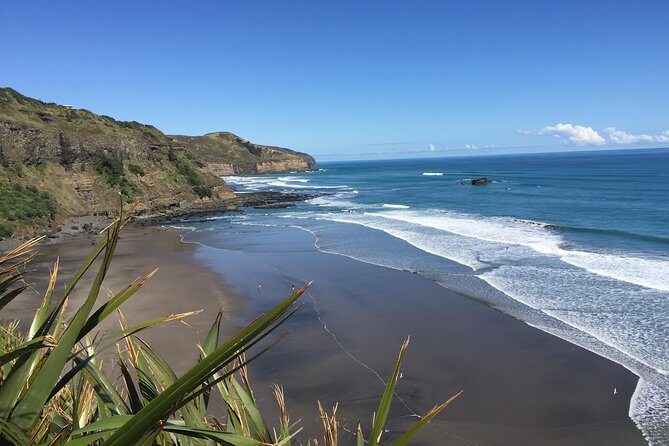Muriwai Scenic Wine Tour from Auckland - FAQ