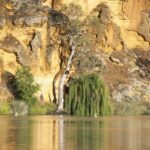 Murray River Highlights and Luncheon Cruise - The Murray River Cruise — A Slow, Scenic Journey