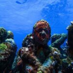 MUSA Museum and Colorful Reef 2 Tank Dive-Certified Divers - Who This Tour is Perfect For